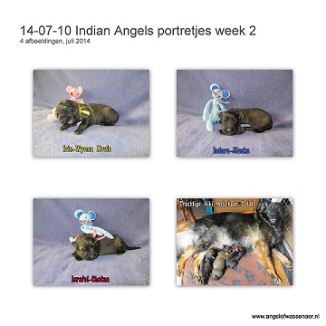 Indian Angels portretjes week 2